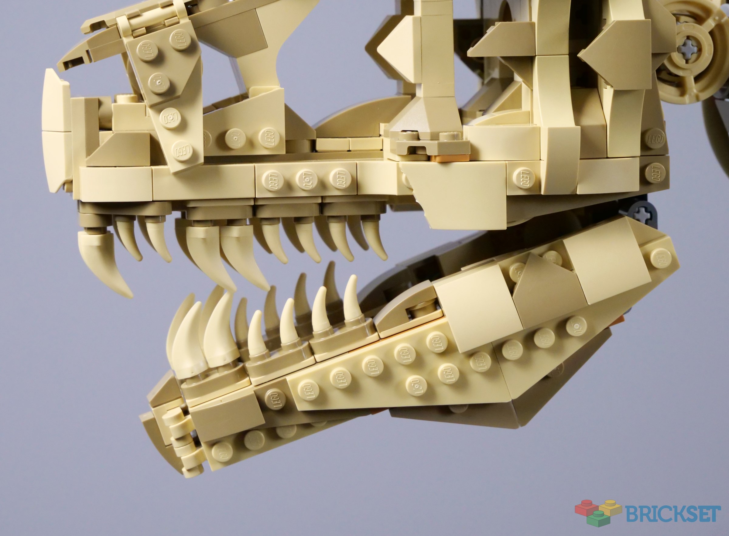 LEGO Jurassic World 76968 Dinosaur Fossils: Tyrannosaurus